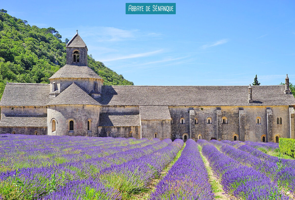 2026_Soleil_de_Provence_37_.jpg
