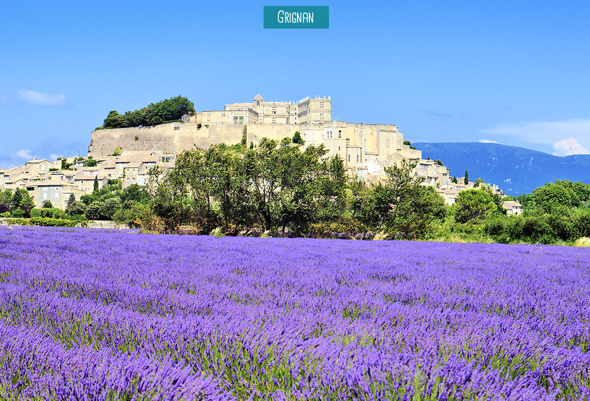 22_camping_soleil_de_provence_2025-86643791_0.jpg