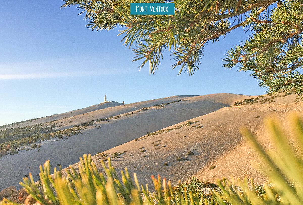 24_camping_soleil_de_provence_2025-86643793_0.jpg