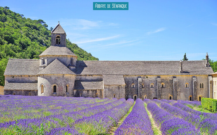 2026_Soleil_de_Provence_37_.jpg