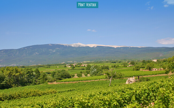 26_camping_soleil_de_provence_2025-86643795_0.jpg